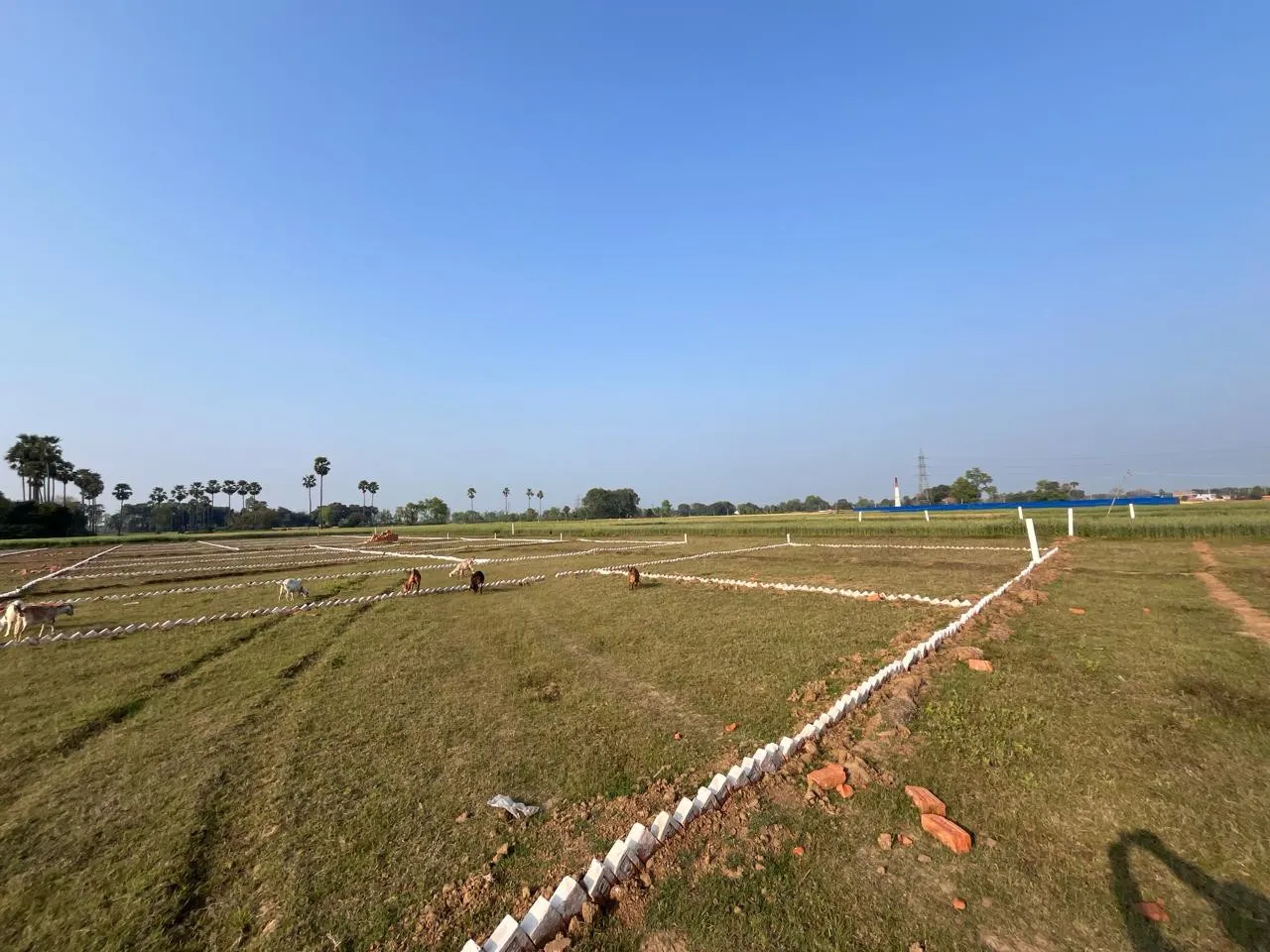 Get your plot in full society area 2
