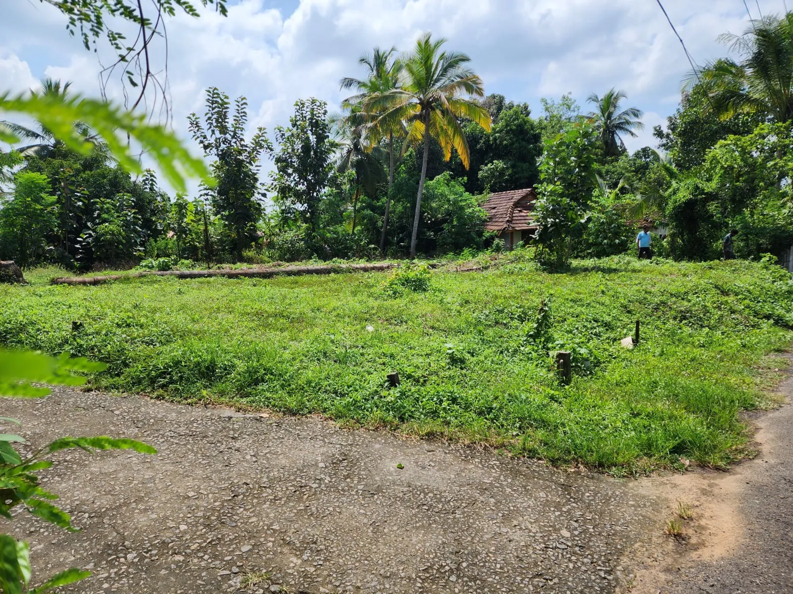 Residential plot 2