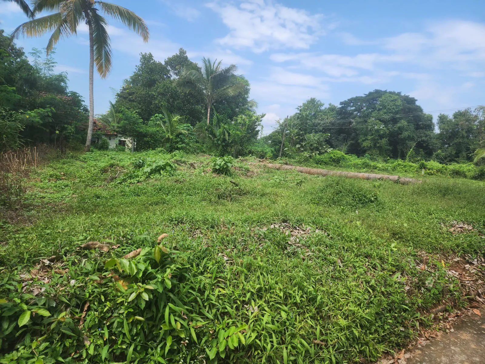 Residential plot