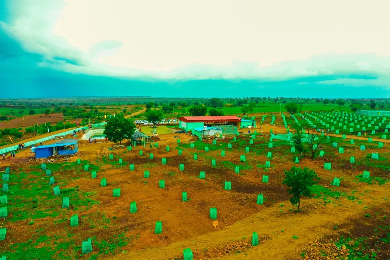 Farm lands 3