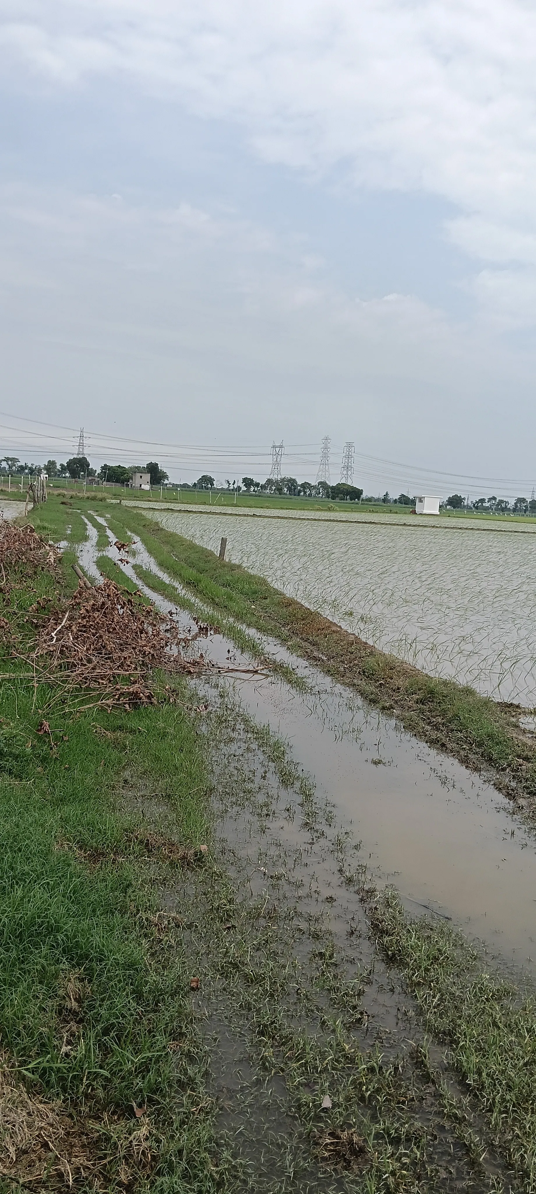 4 acre agriculture land 3