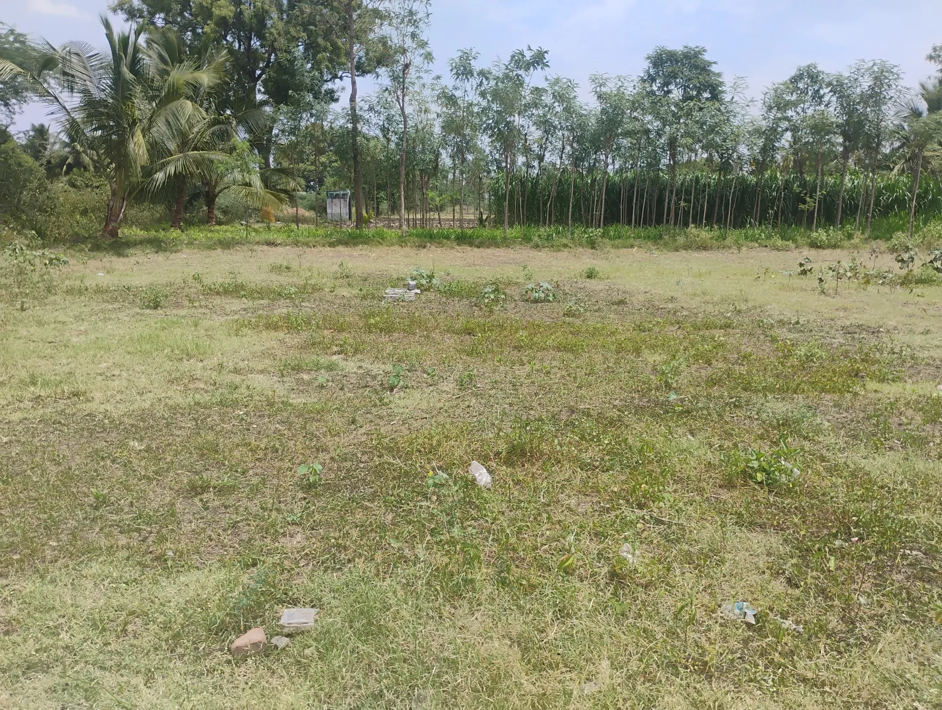 houseing board property 5000sqft 3