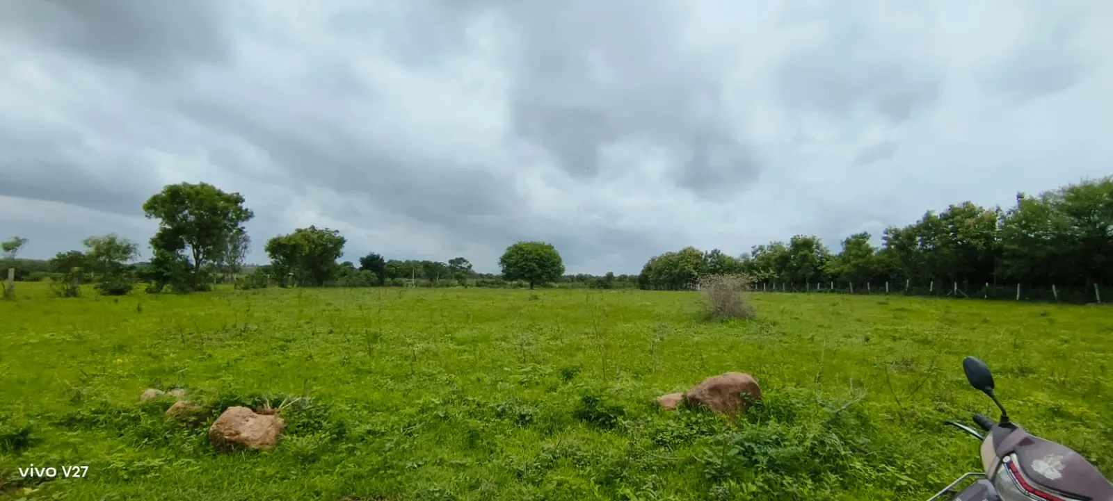 agriculture land 3