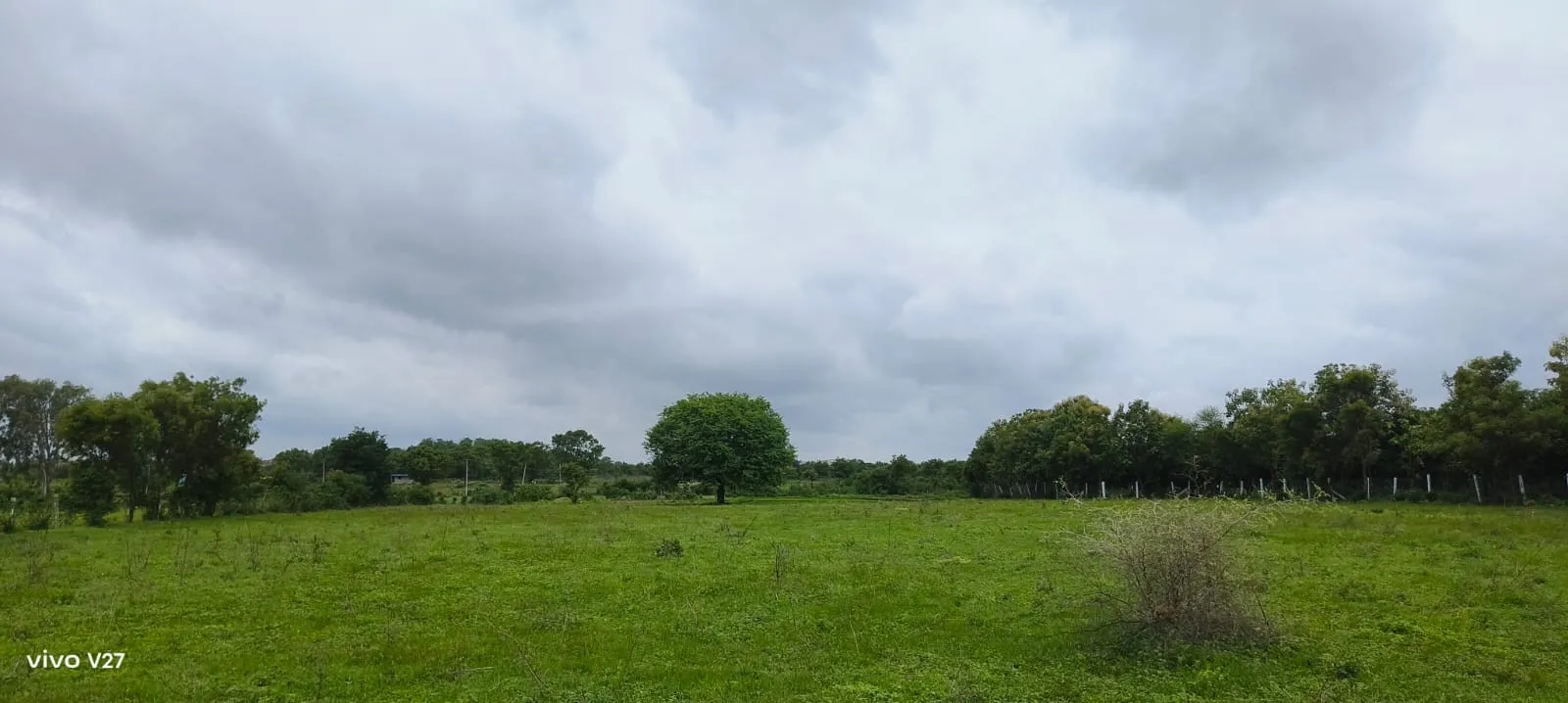 agriculture land 2