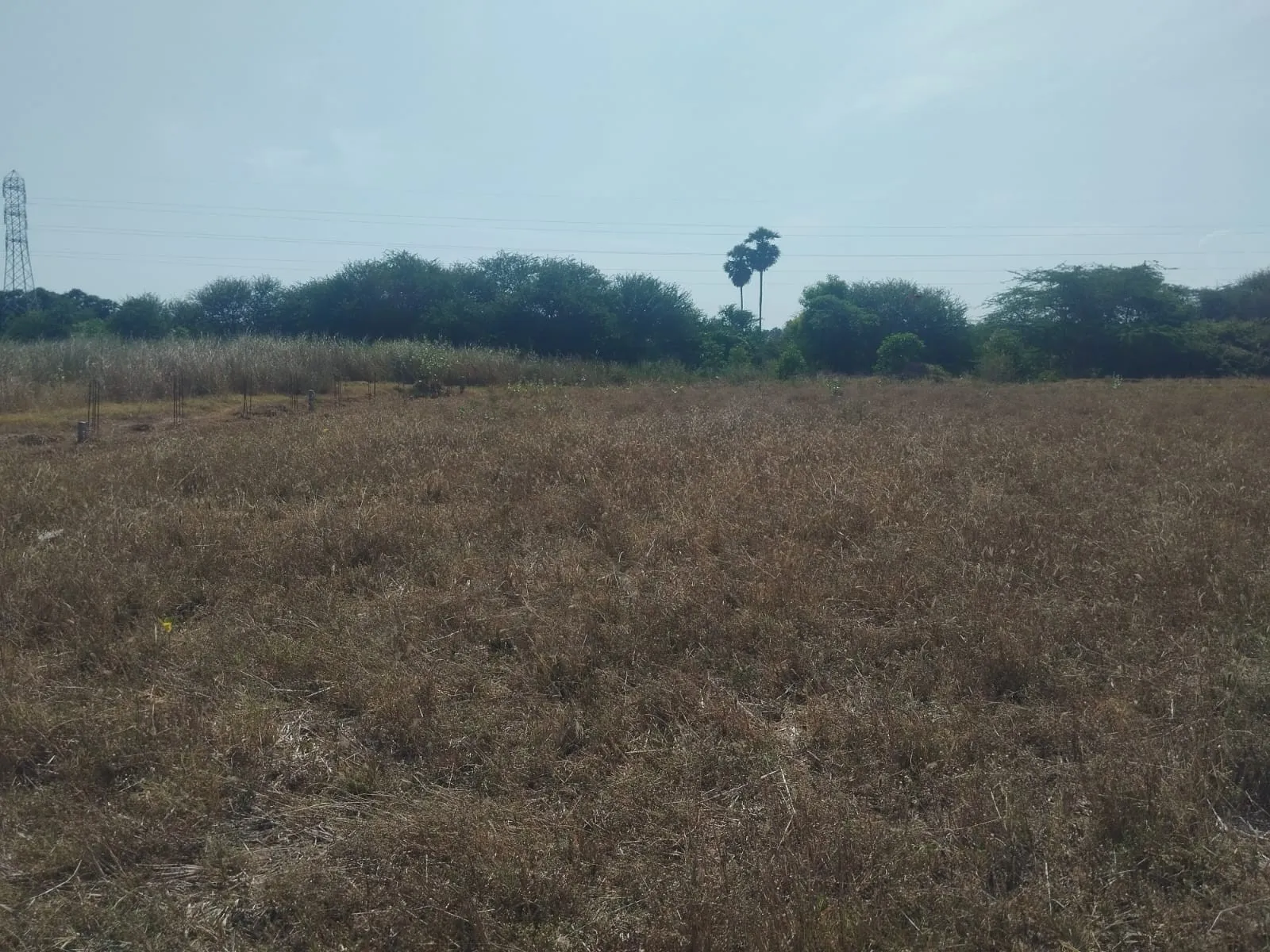 owner agriculture land for sale at ponnavarayankottai bypass road , pattukkottai