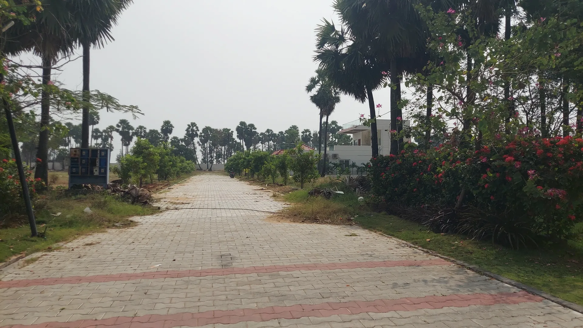 Open Plots Available In pedakurrapadu