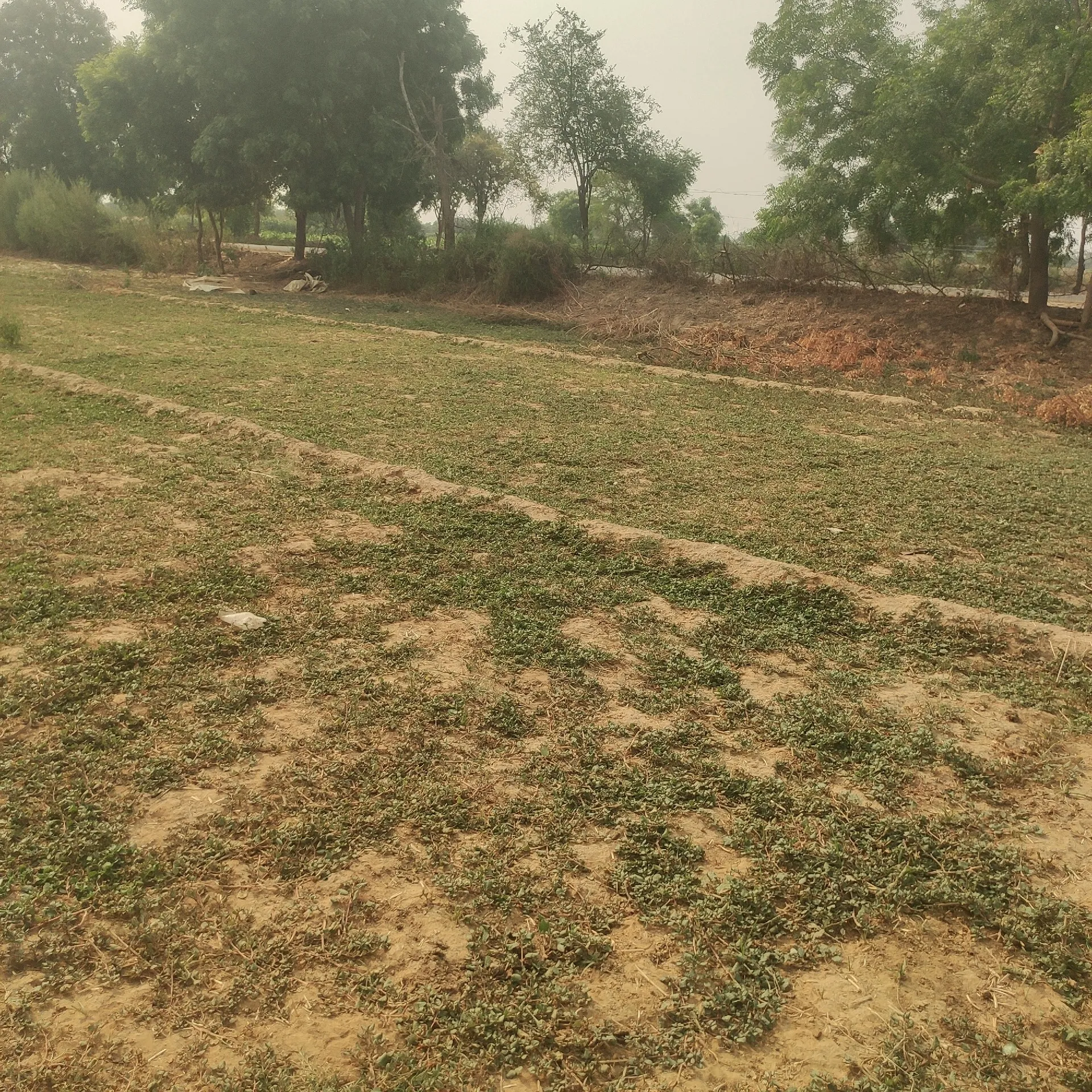 agrict 2