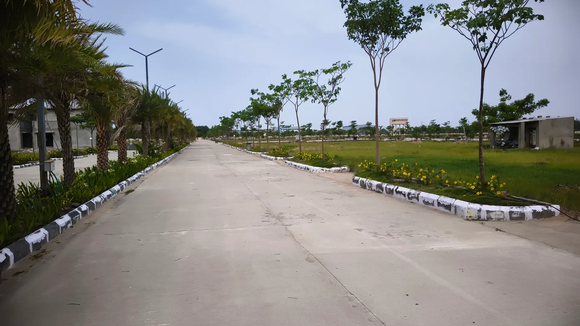 Open Plots Are for Sale In Eluru,Vattigudipadu