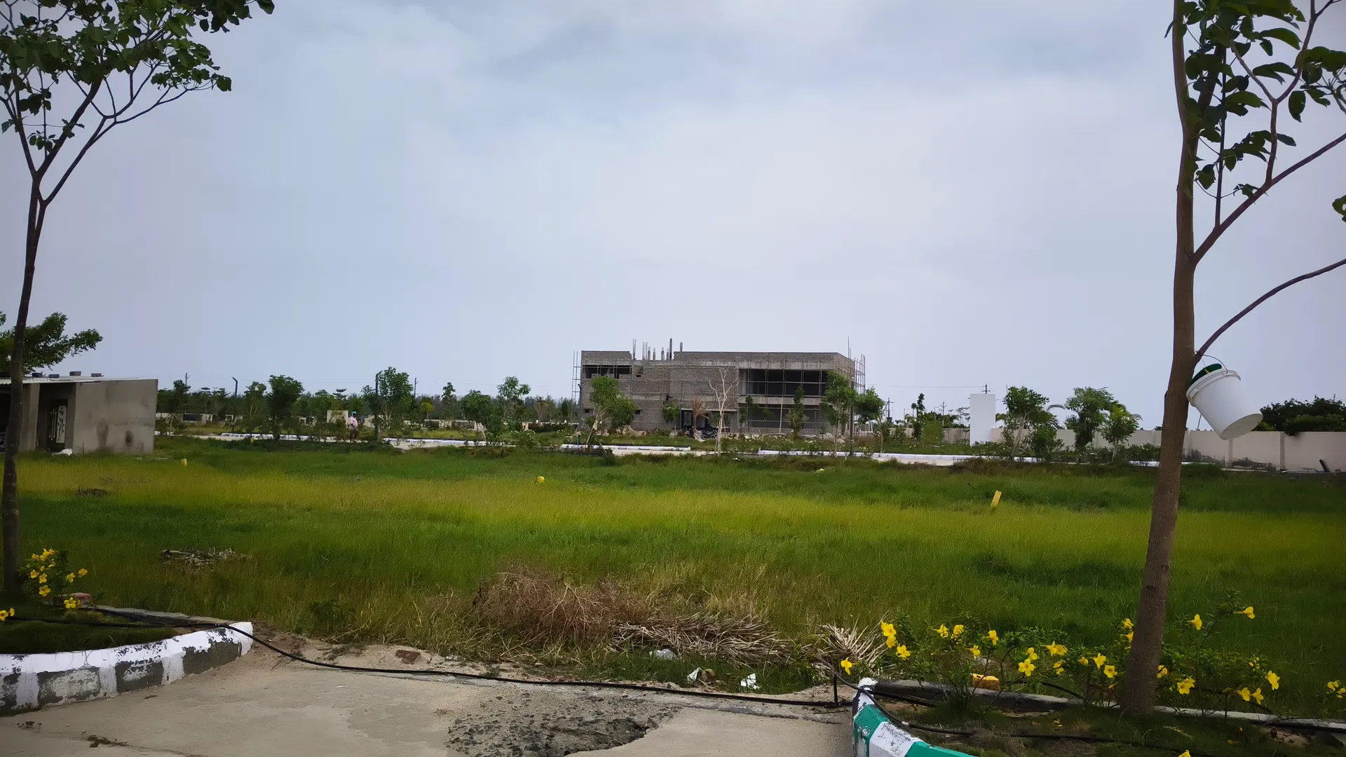 Open Plots Are for Sale In Eluru,Vattigudipadu 2