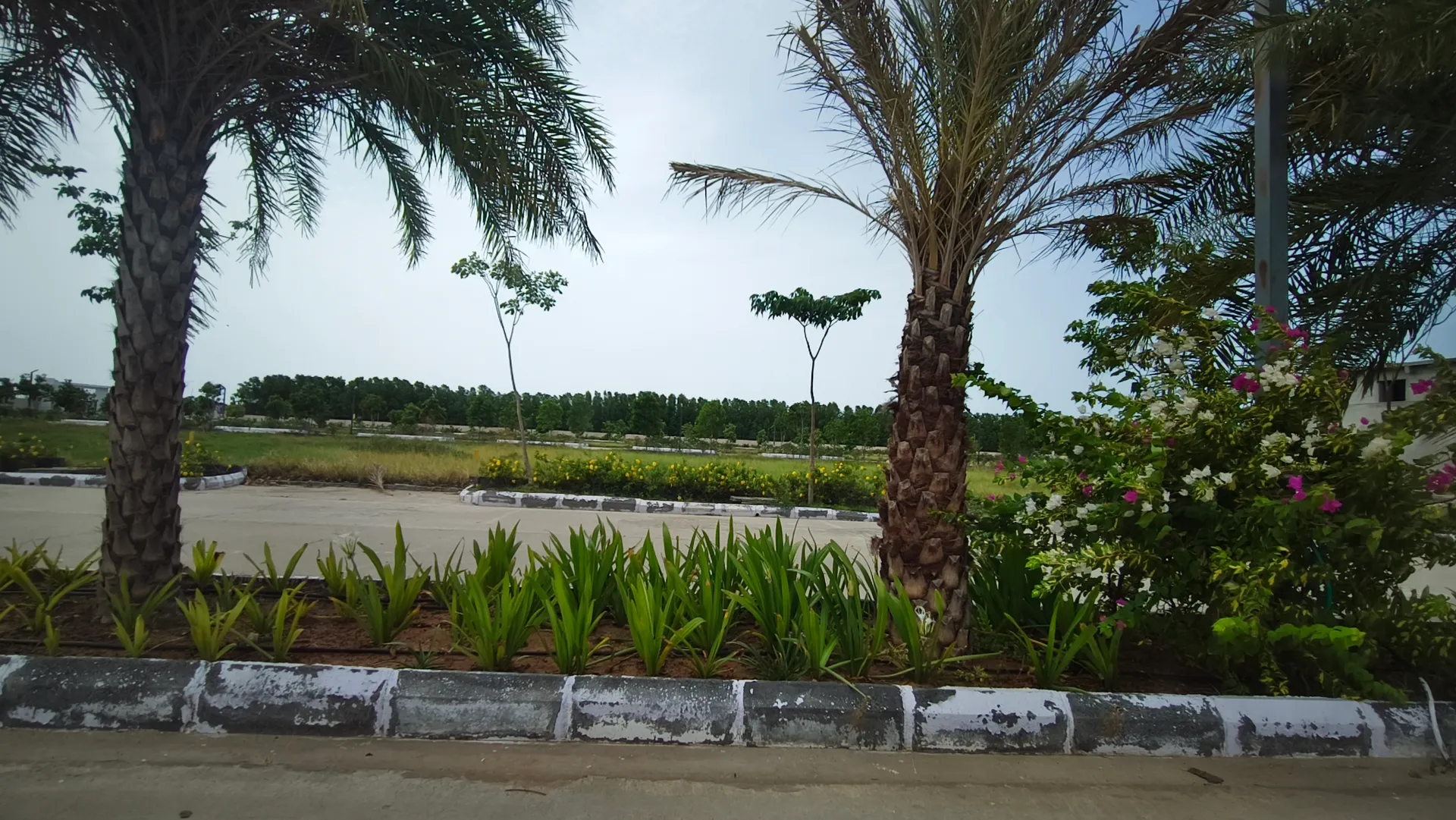 Open Plots For Sale In Mallavalli 2