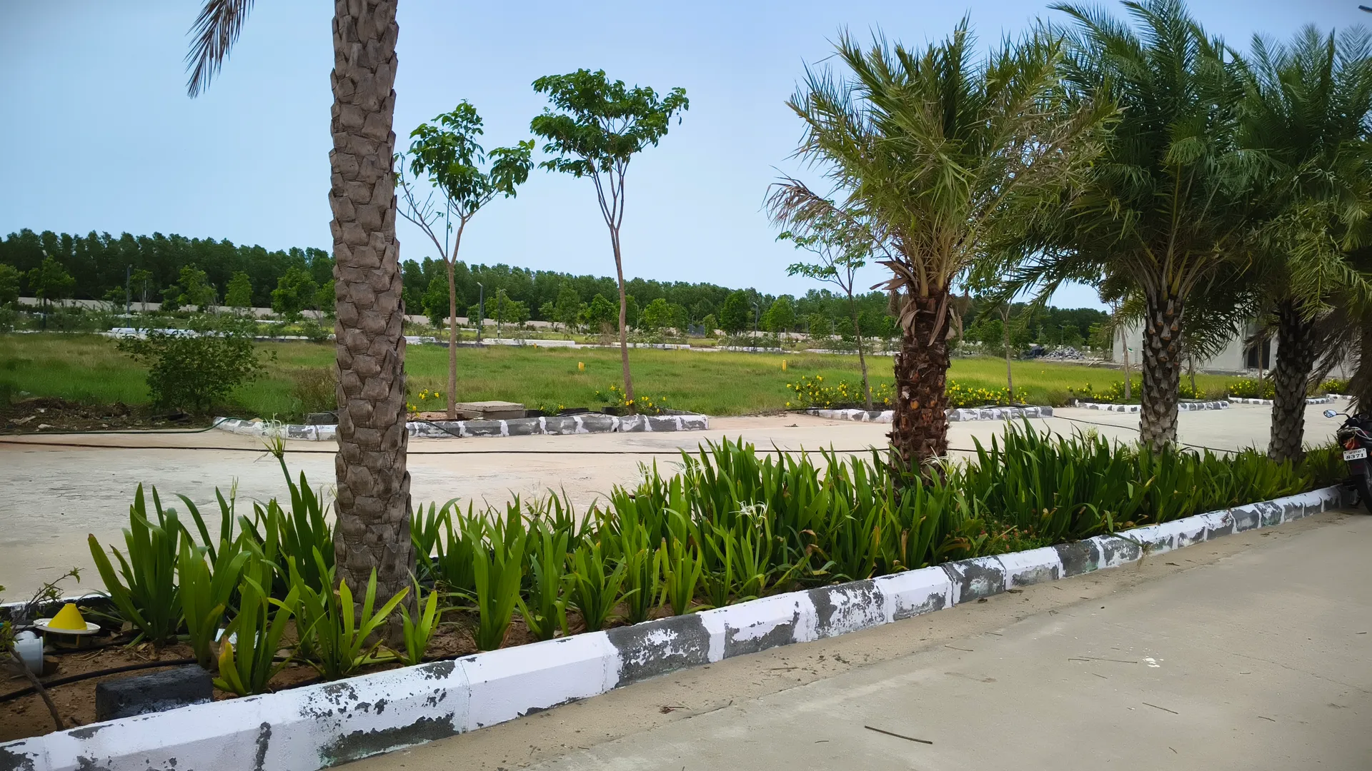 Open Plots For sale In Chirala,Bapatla 2