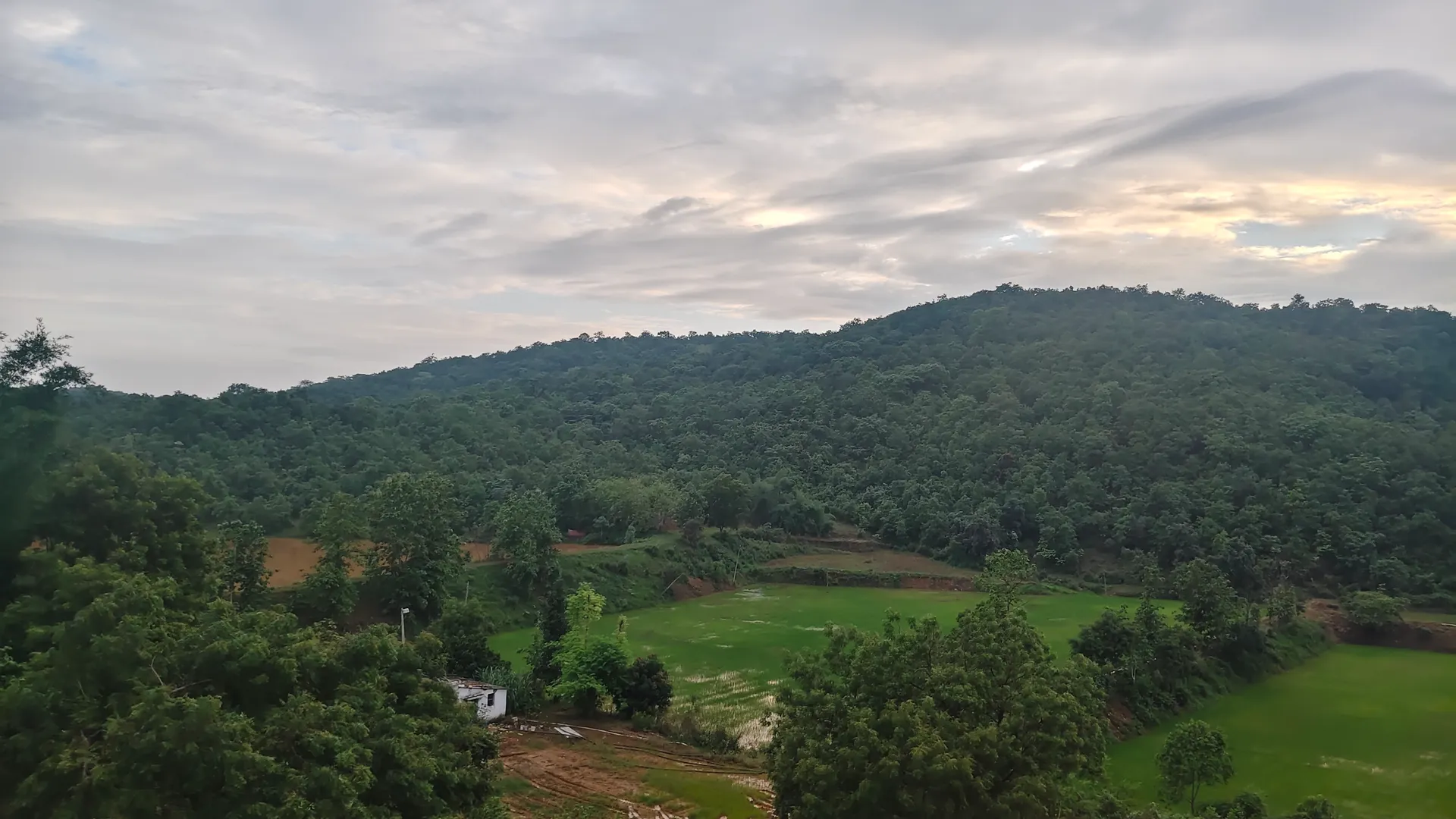 15+ Acre Land with Farmhouse & Pond 3