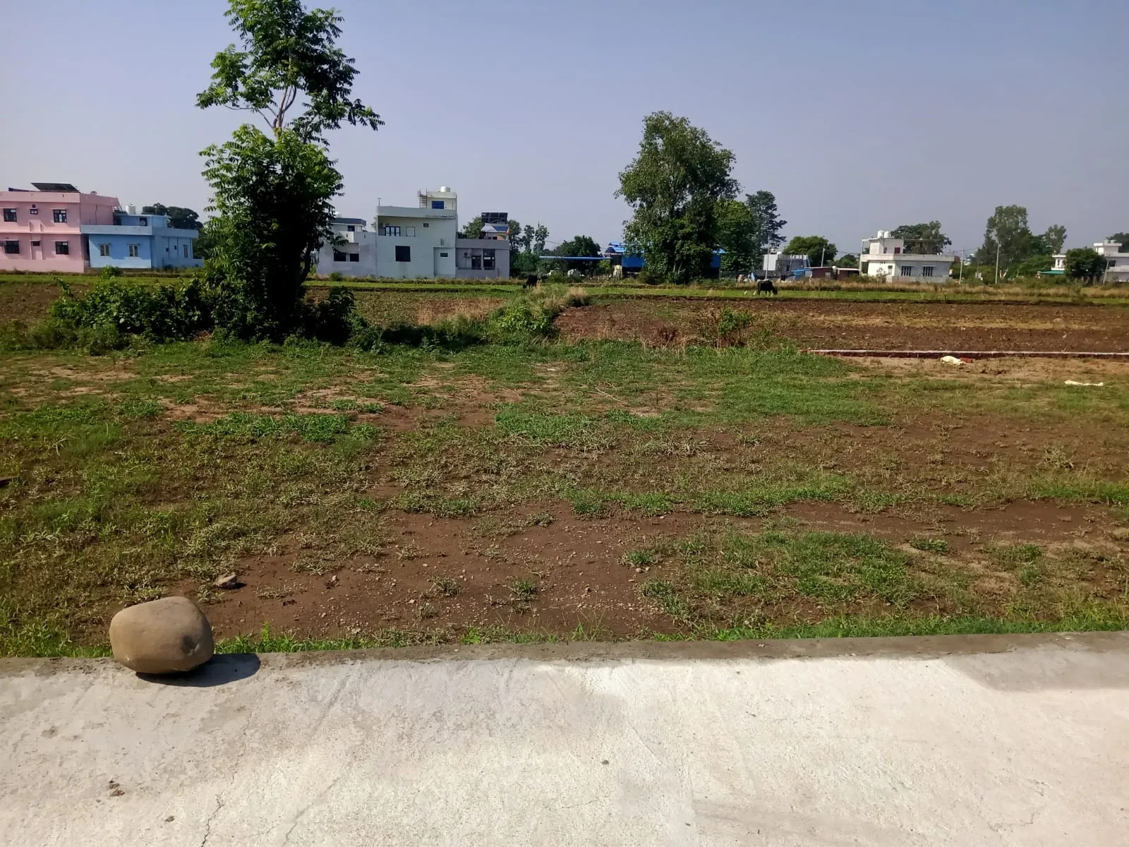 buy land golden opportunity