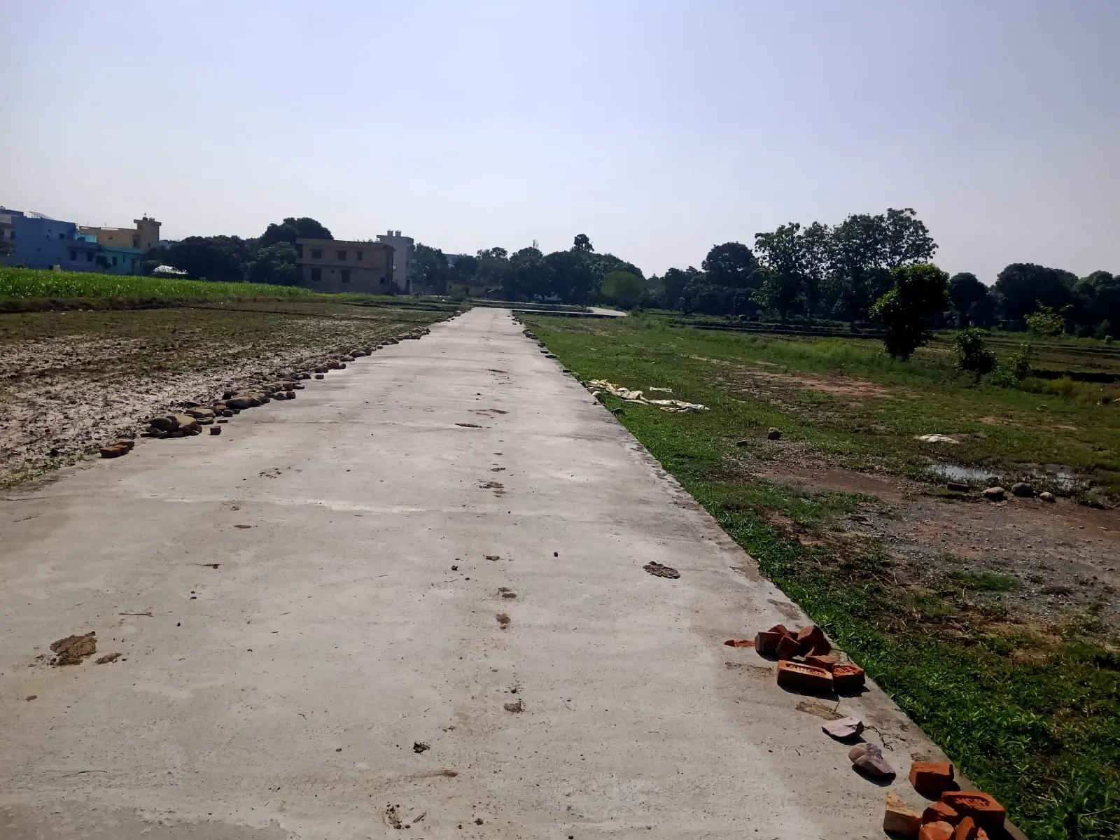 buy land golden opportunity 2