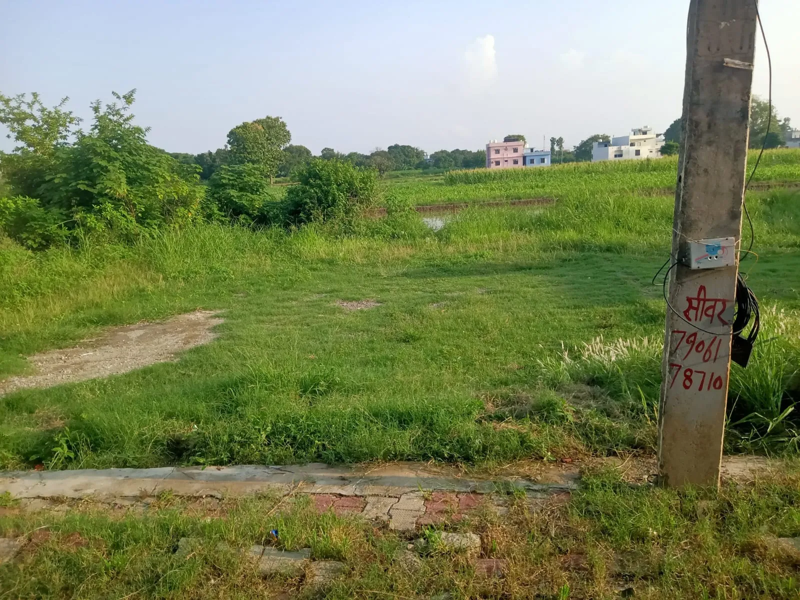 buy land golden opportunity 3