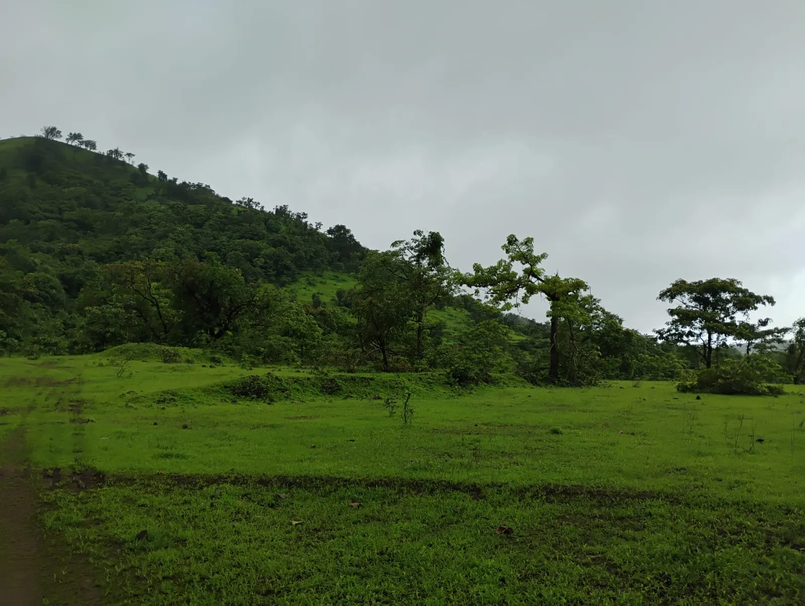 Dream Kokan 2