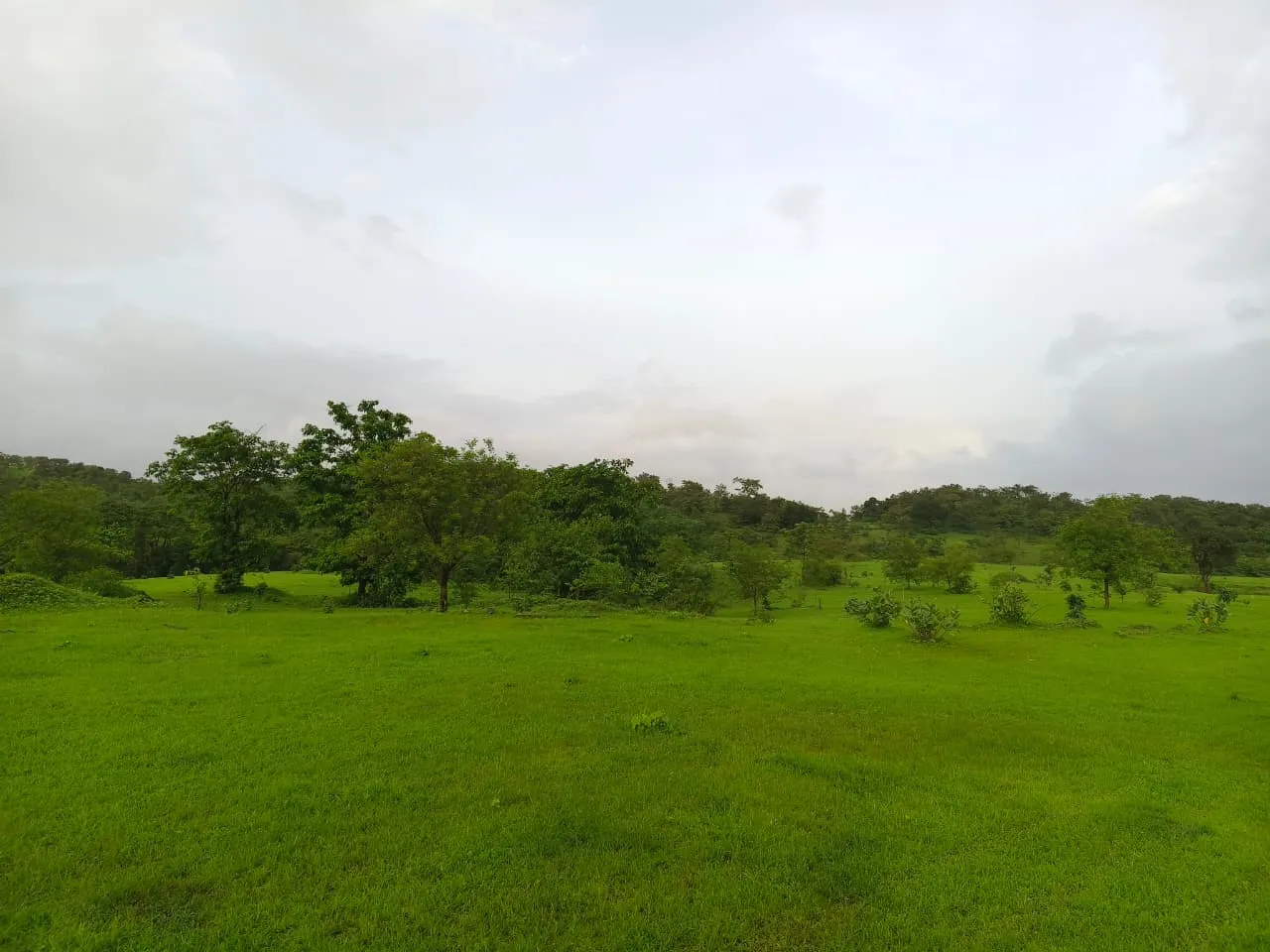 Dream Kokan 2