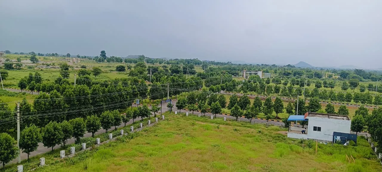 🏡 PHARMA GREEN CITY DTCP & RERA Approved Open Plots 2