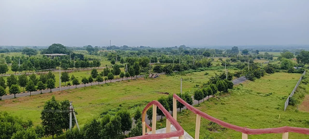 🏡 PHARMA GREEN CITY DTCP & RERA Approved Open Plots 3