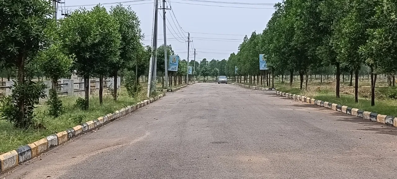 🏡 PHARMA GREEN CITY DTCP & RERA Approved Open Plots