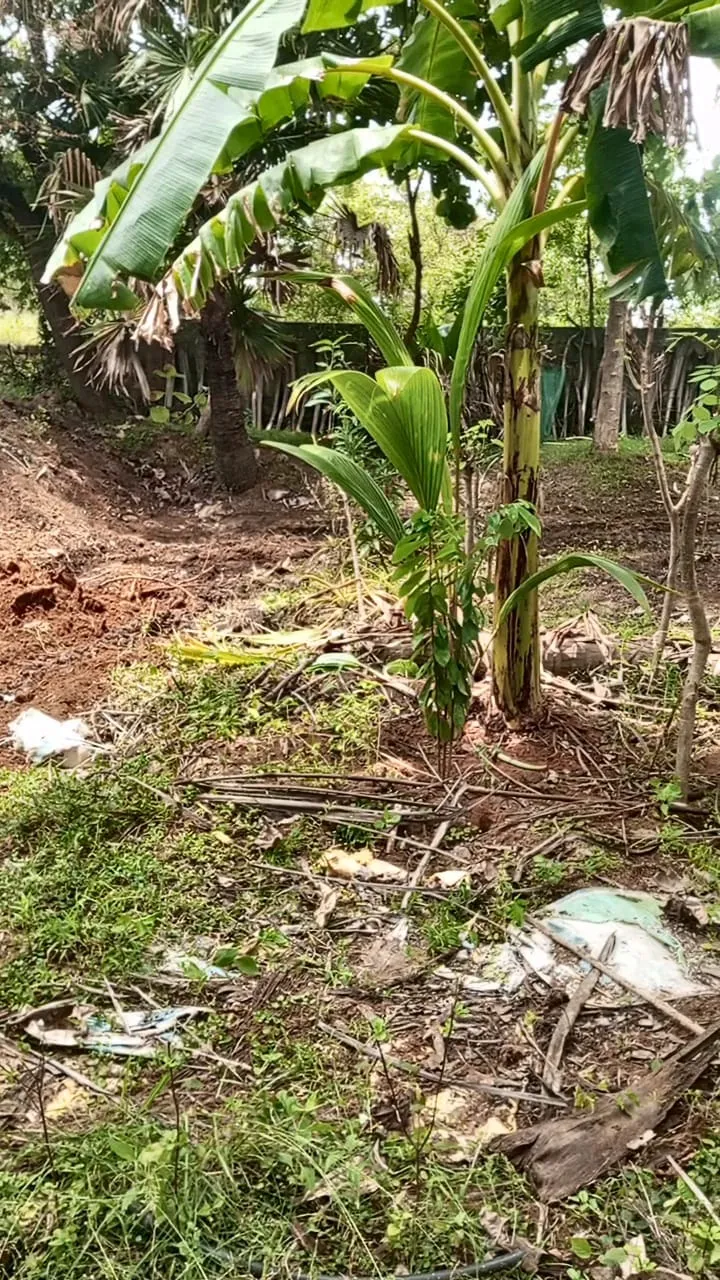 9.5 Cent Land for Sale – Priya Nagar, Parakkai Road 3