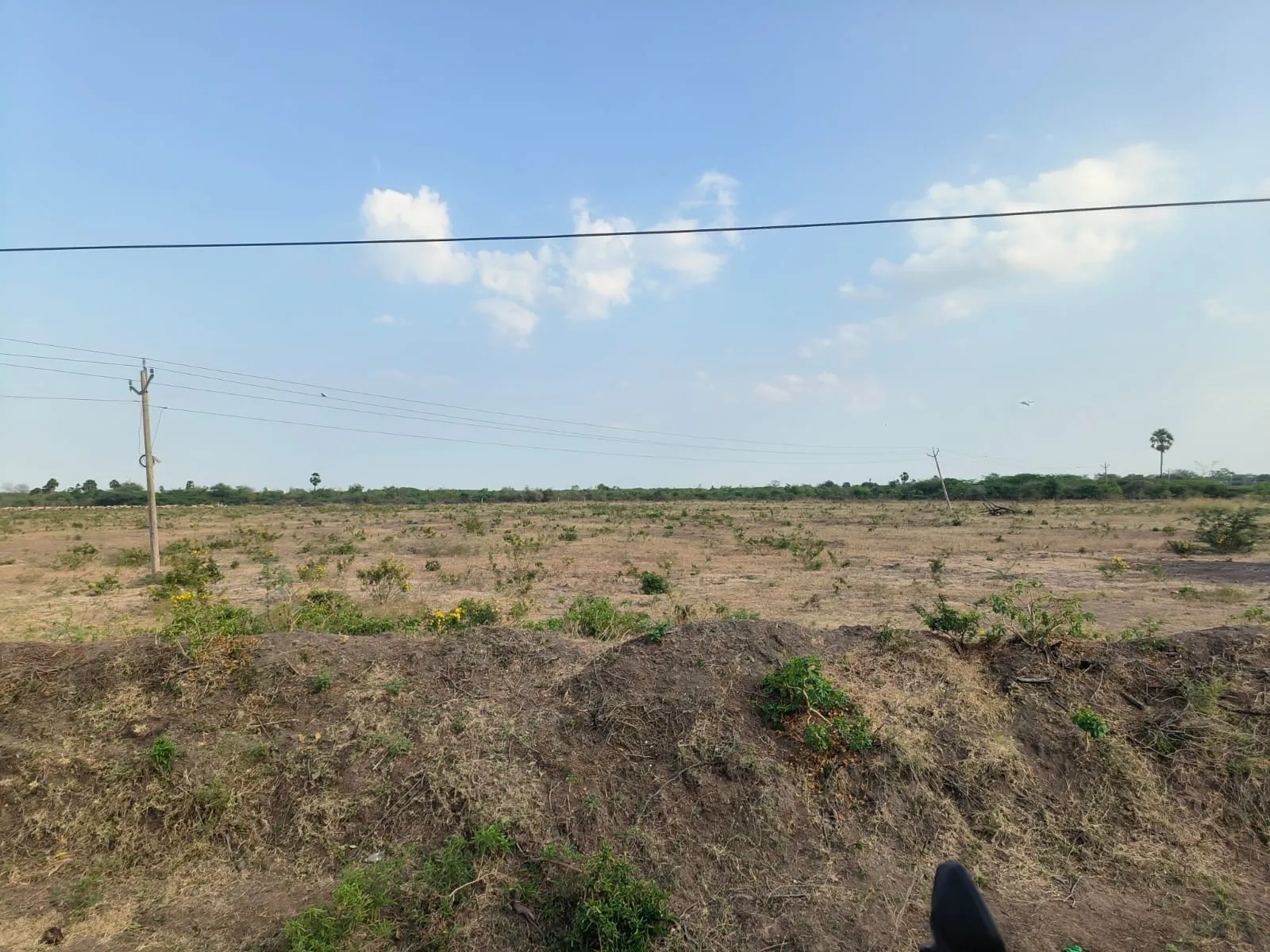 agriculture land