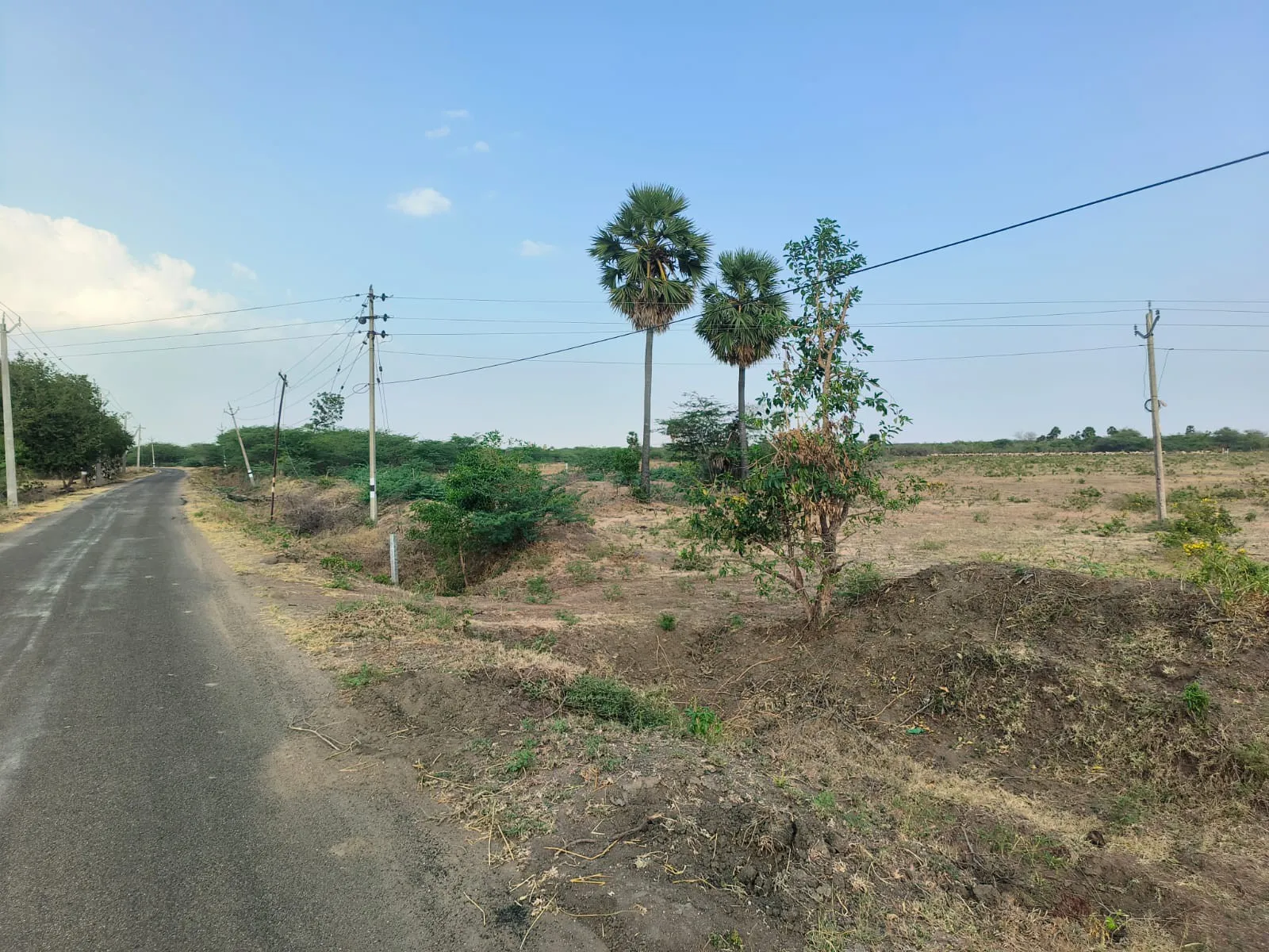 agriculture land 2
