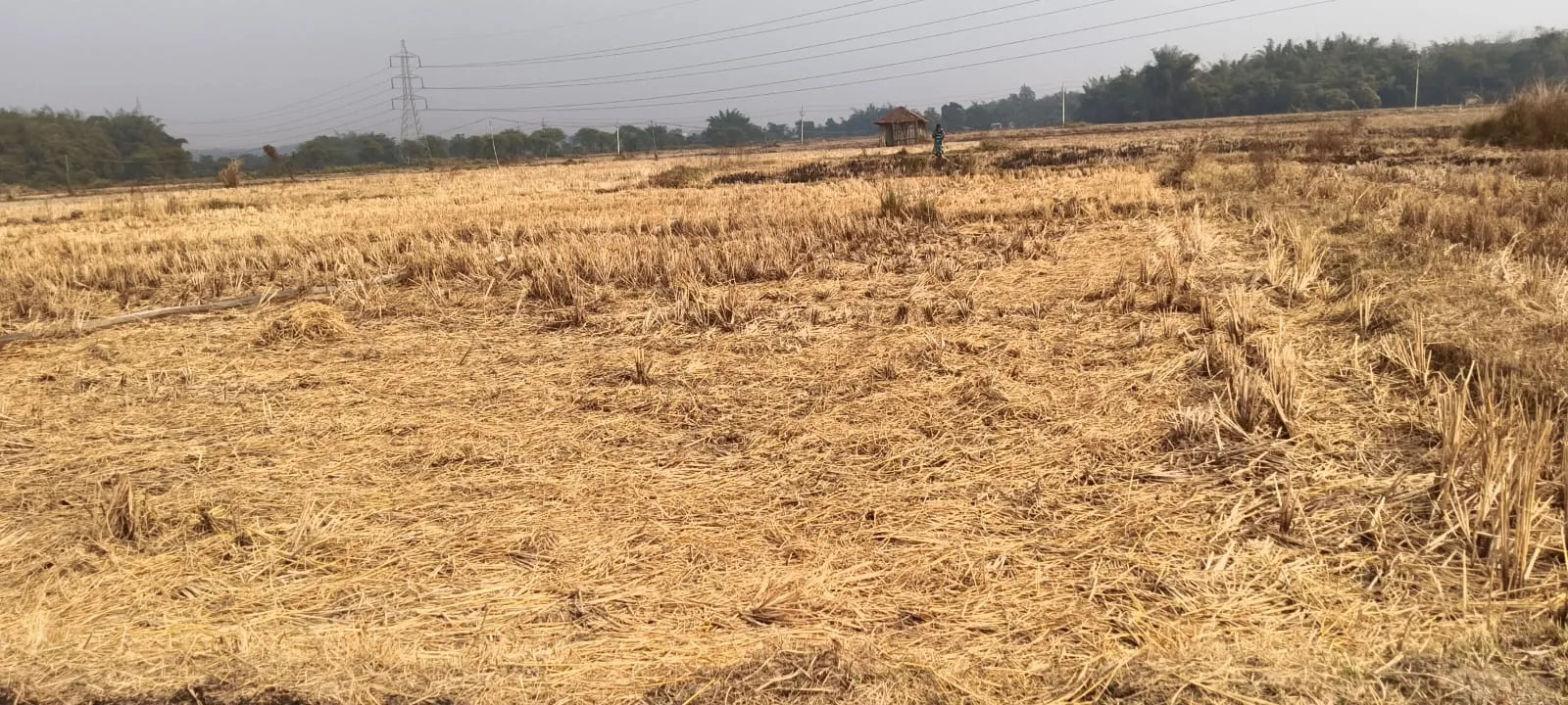 🌾Agriculture Land🌾