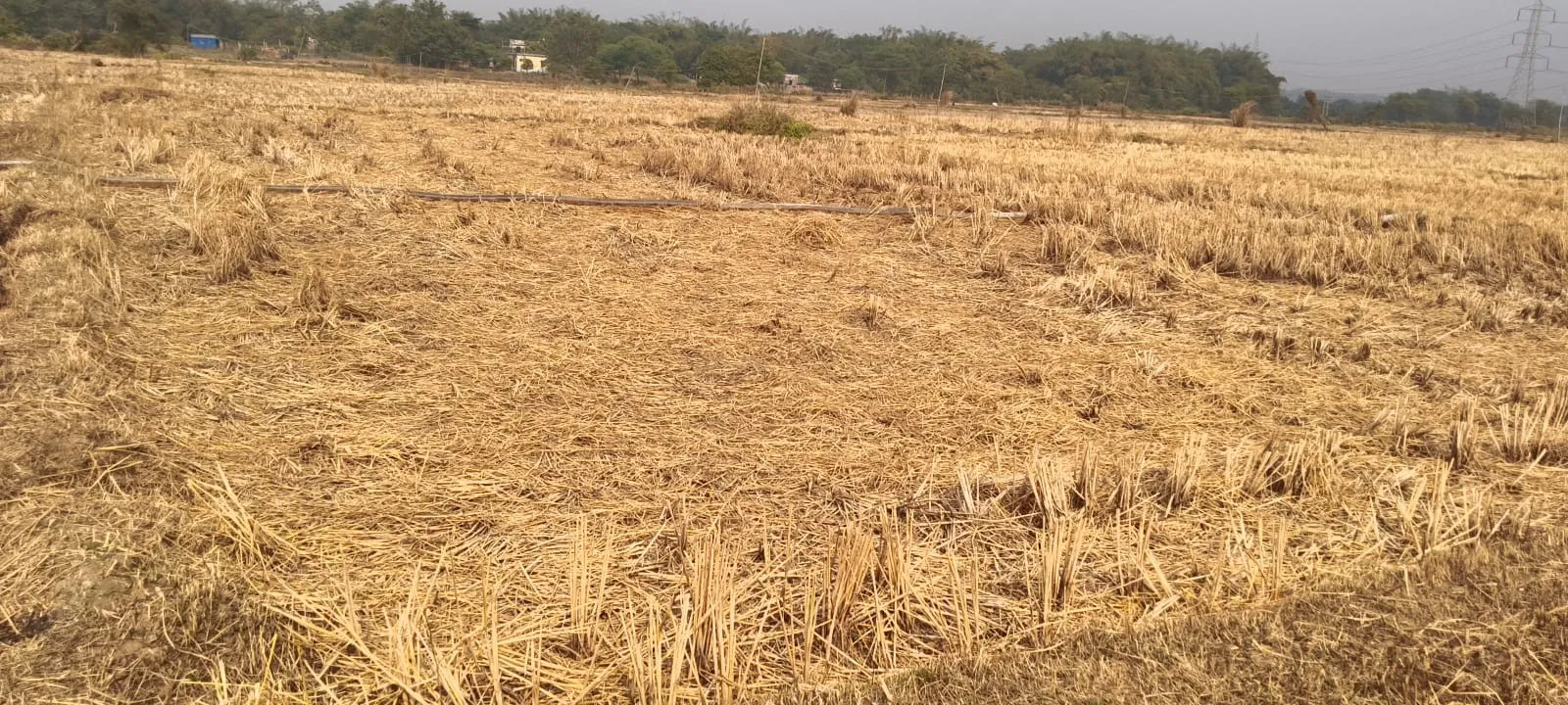 🌾Agriculture Land🌾 2