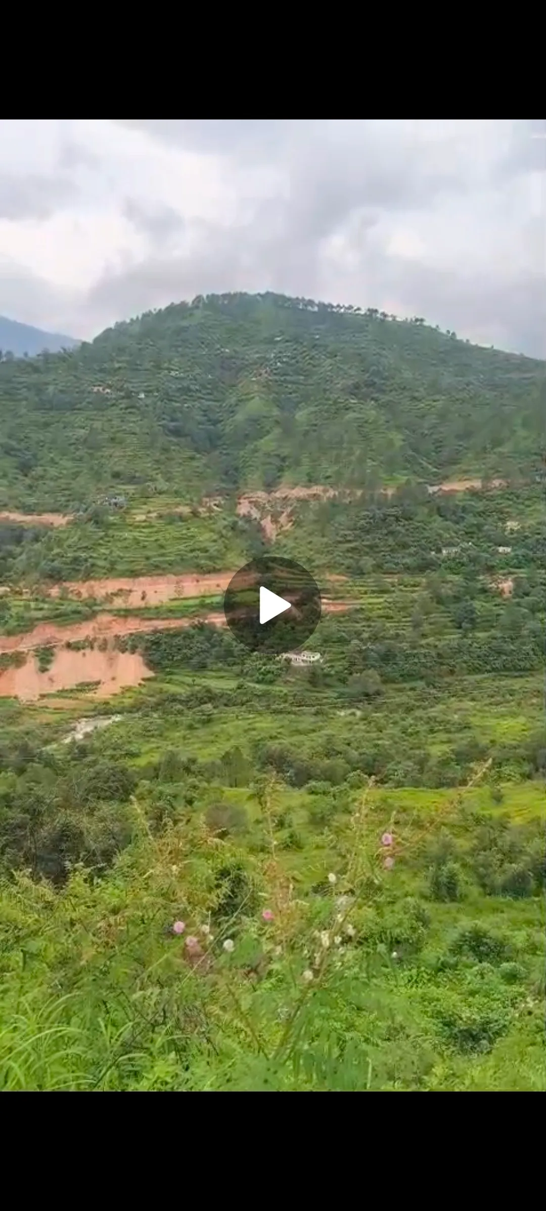 Agricultural property 3