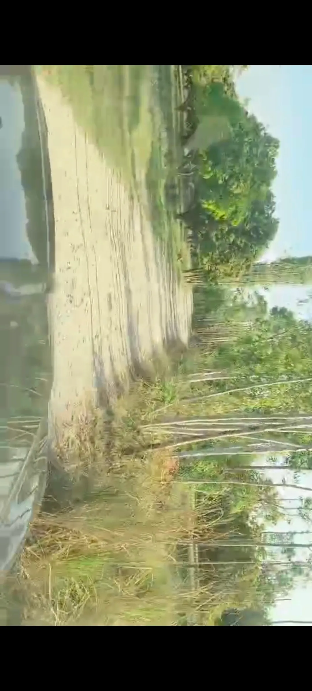 Agricultural property 3
