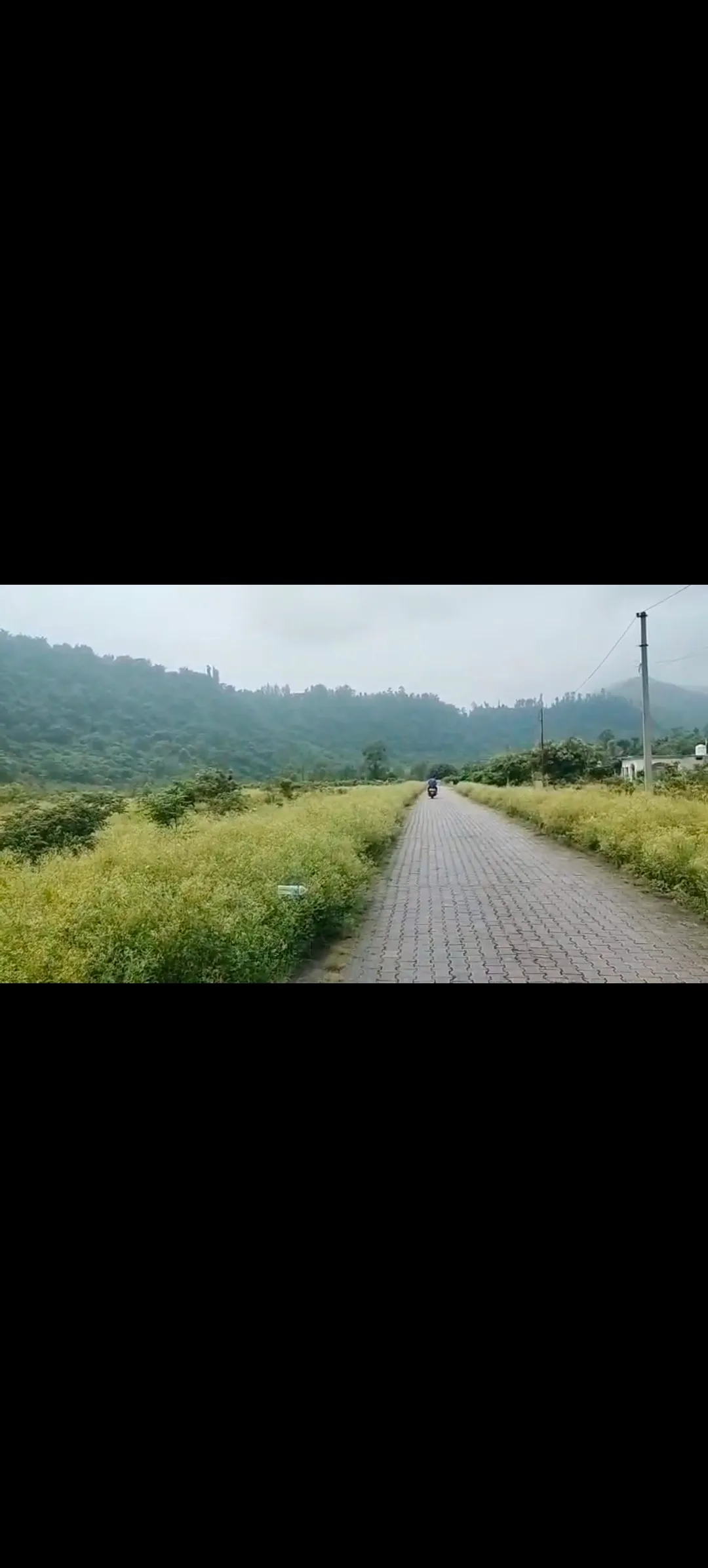 Agricultural
