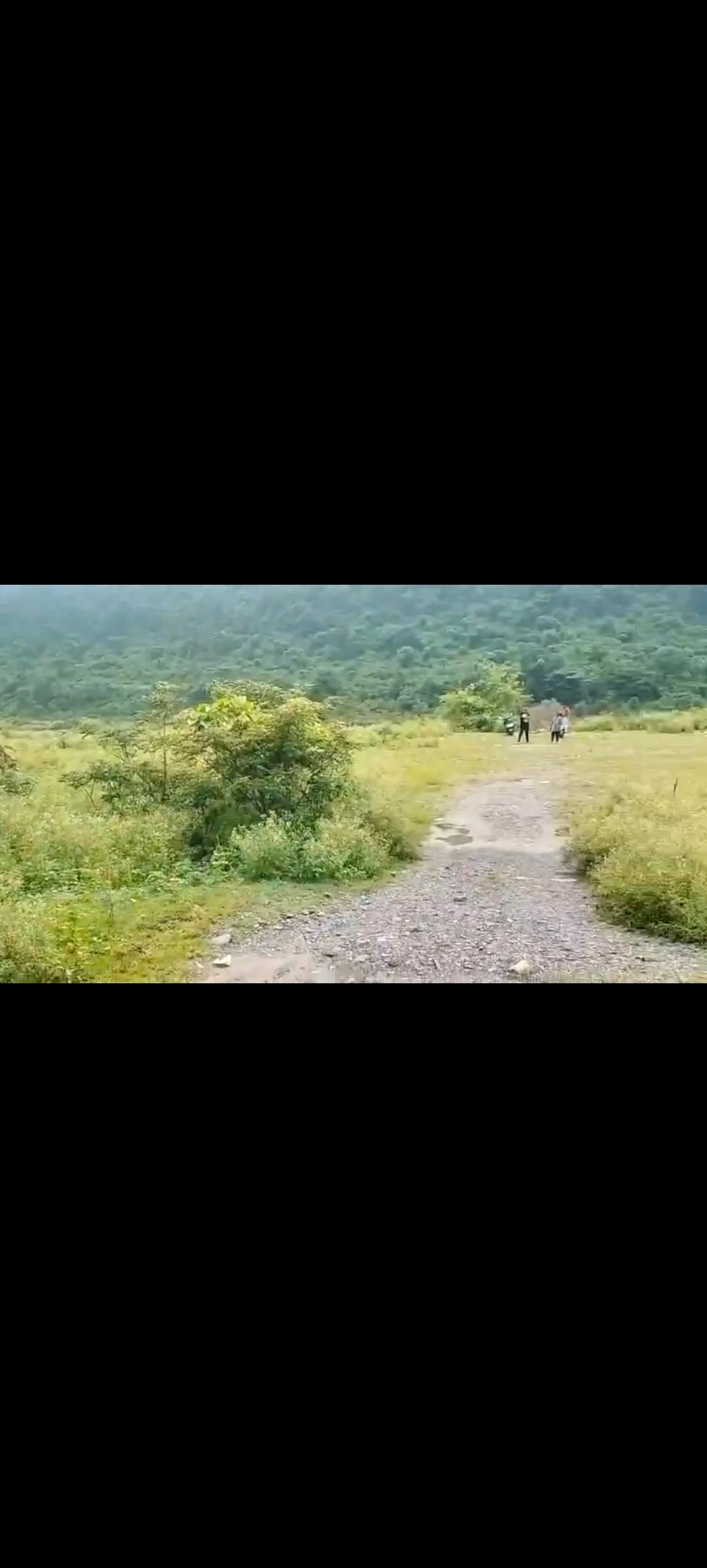 Agricultural