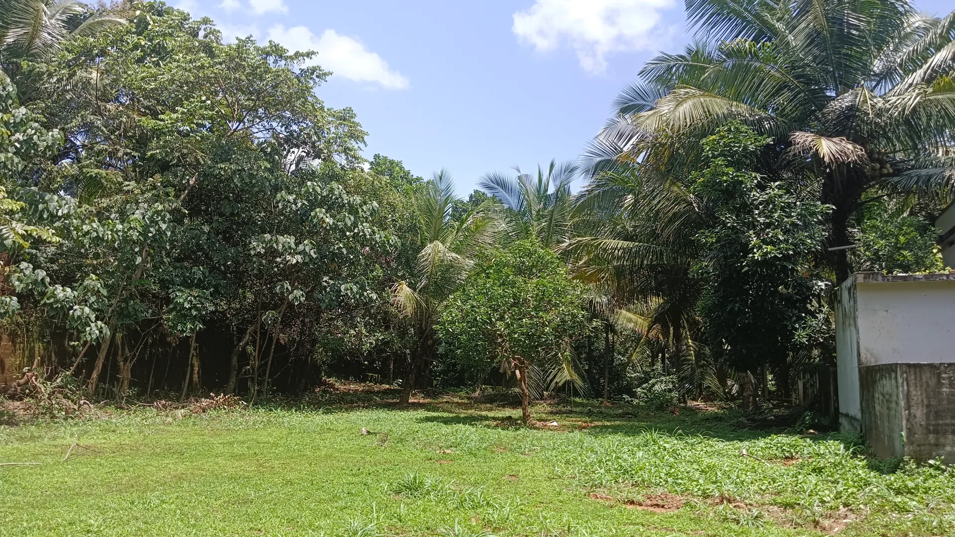 lakshamveedu, kumminiparambu