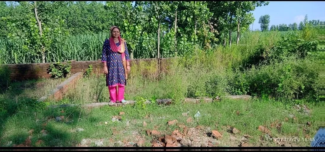 main road plot and double road plot