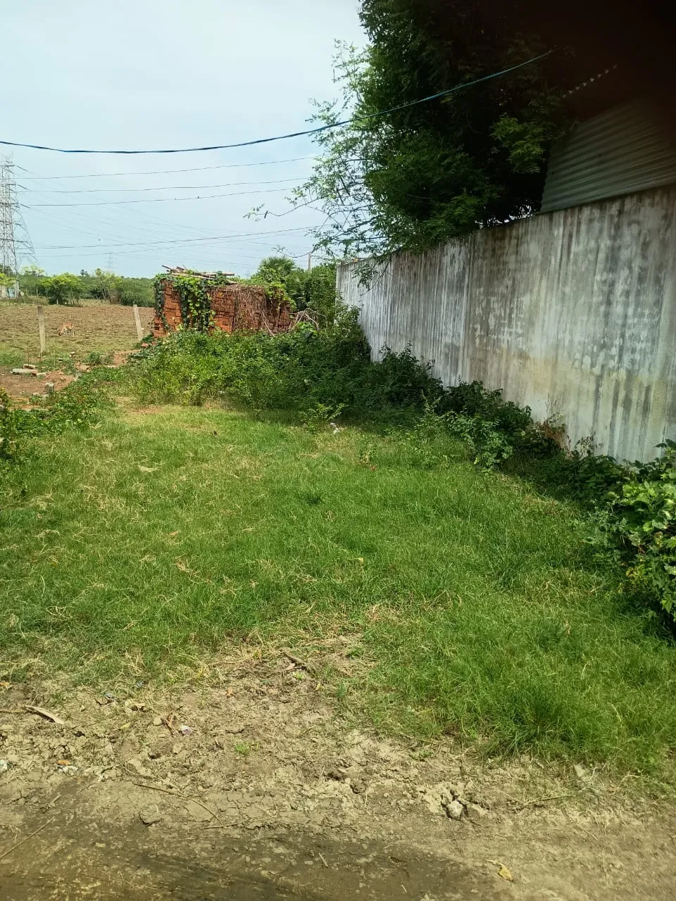Plot for sale 