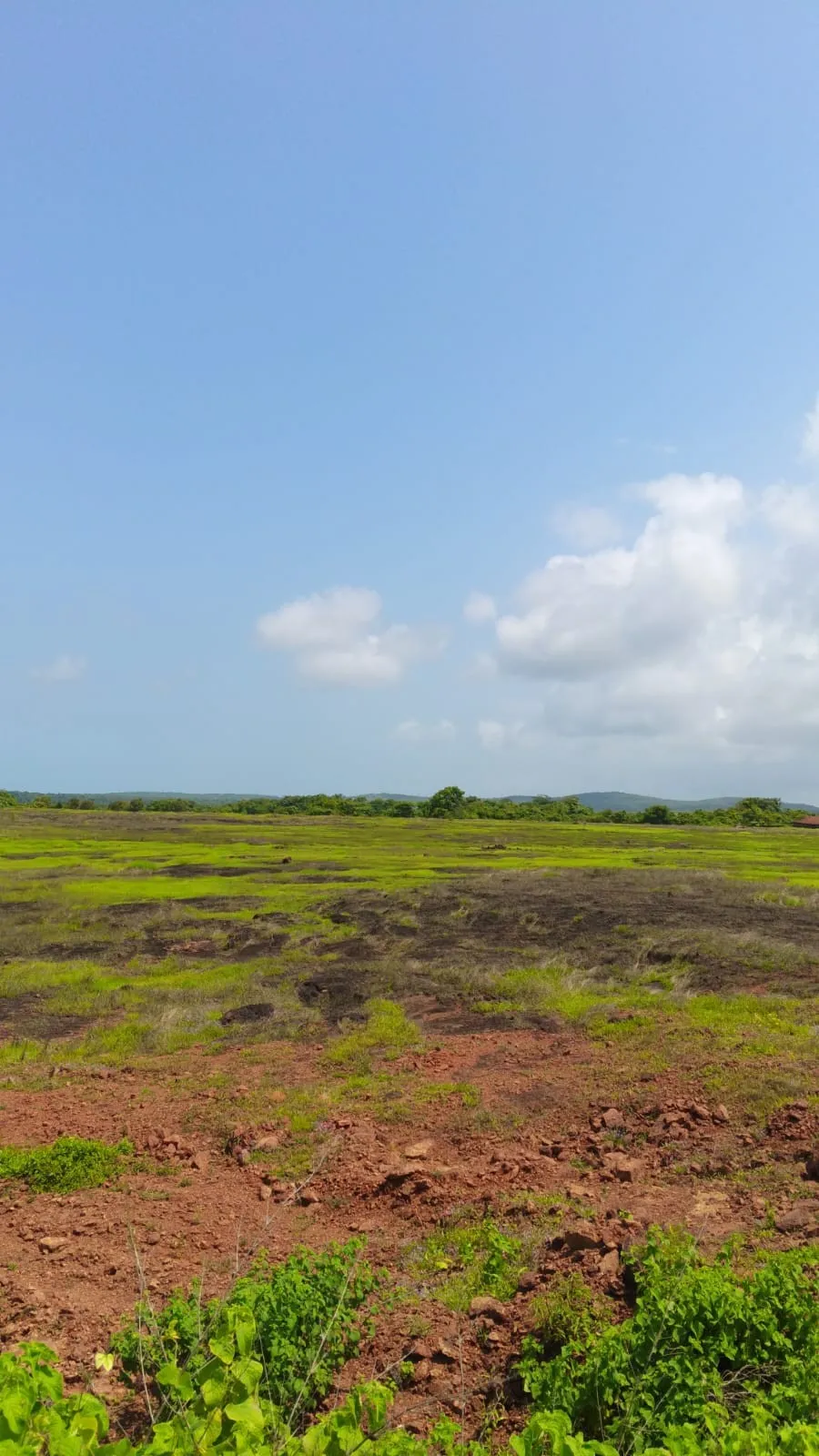 77 guntha plot for sale clear title single owner