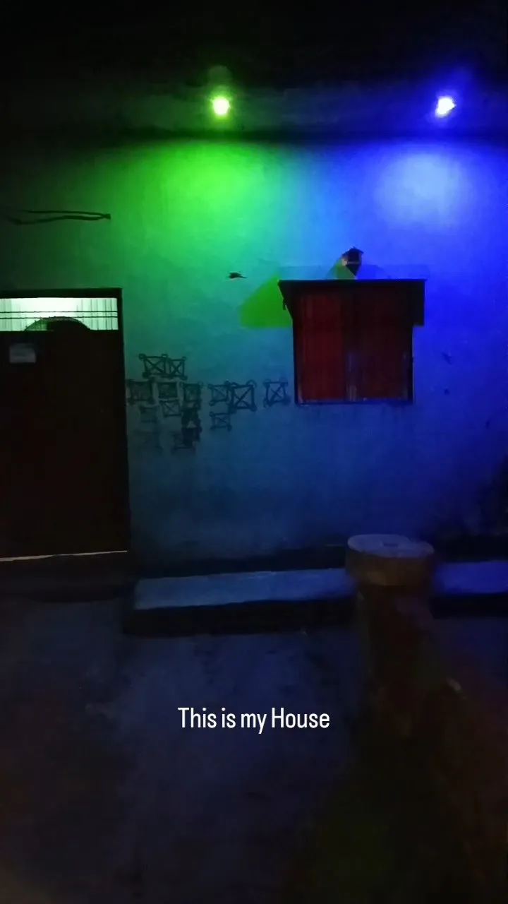 Hause 3