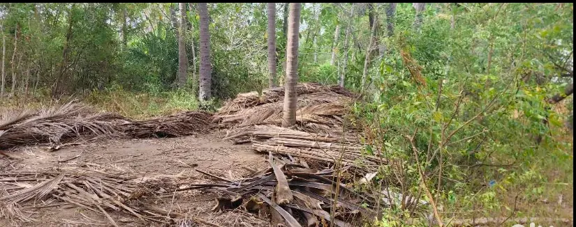 farm land for rent 
