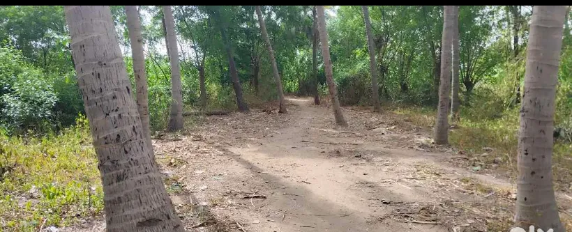 farm land for rent 2