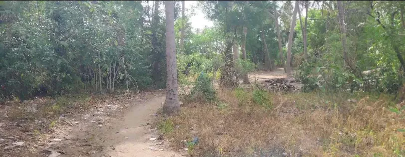 farm land for rent 3