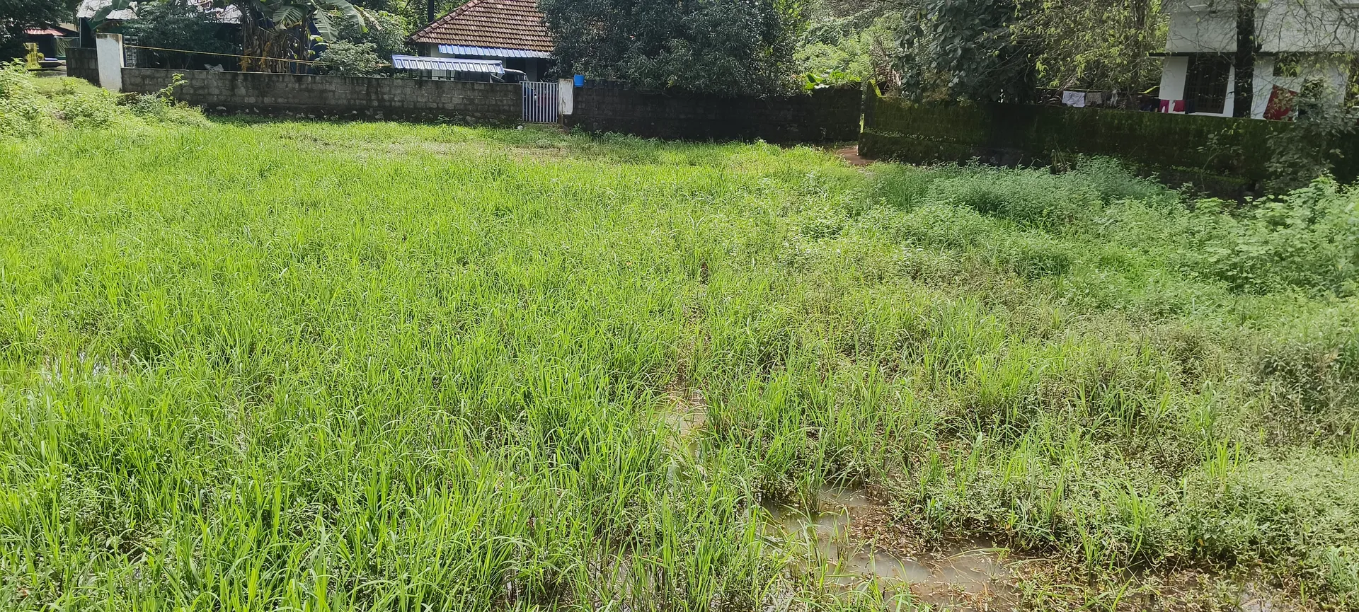 17 cent land in Karimbully9000 2