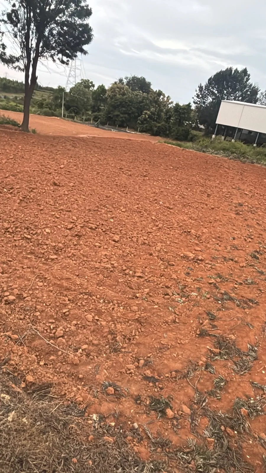 land