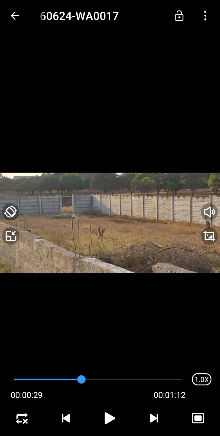 Rampur
