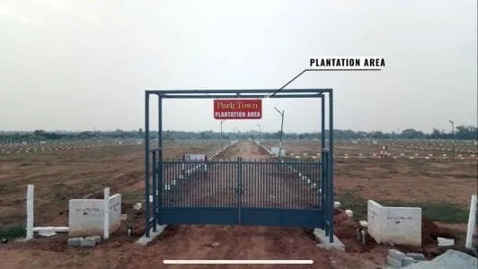 park town
