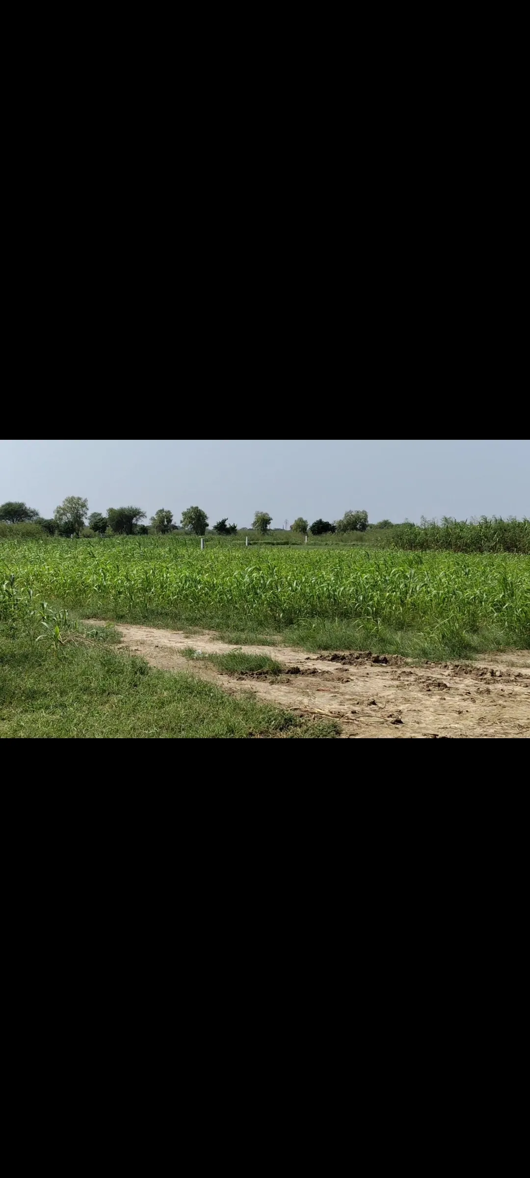 near by hodal- nuh road and near by hodal punahana roda