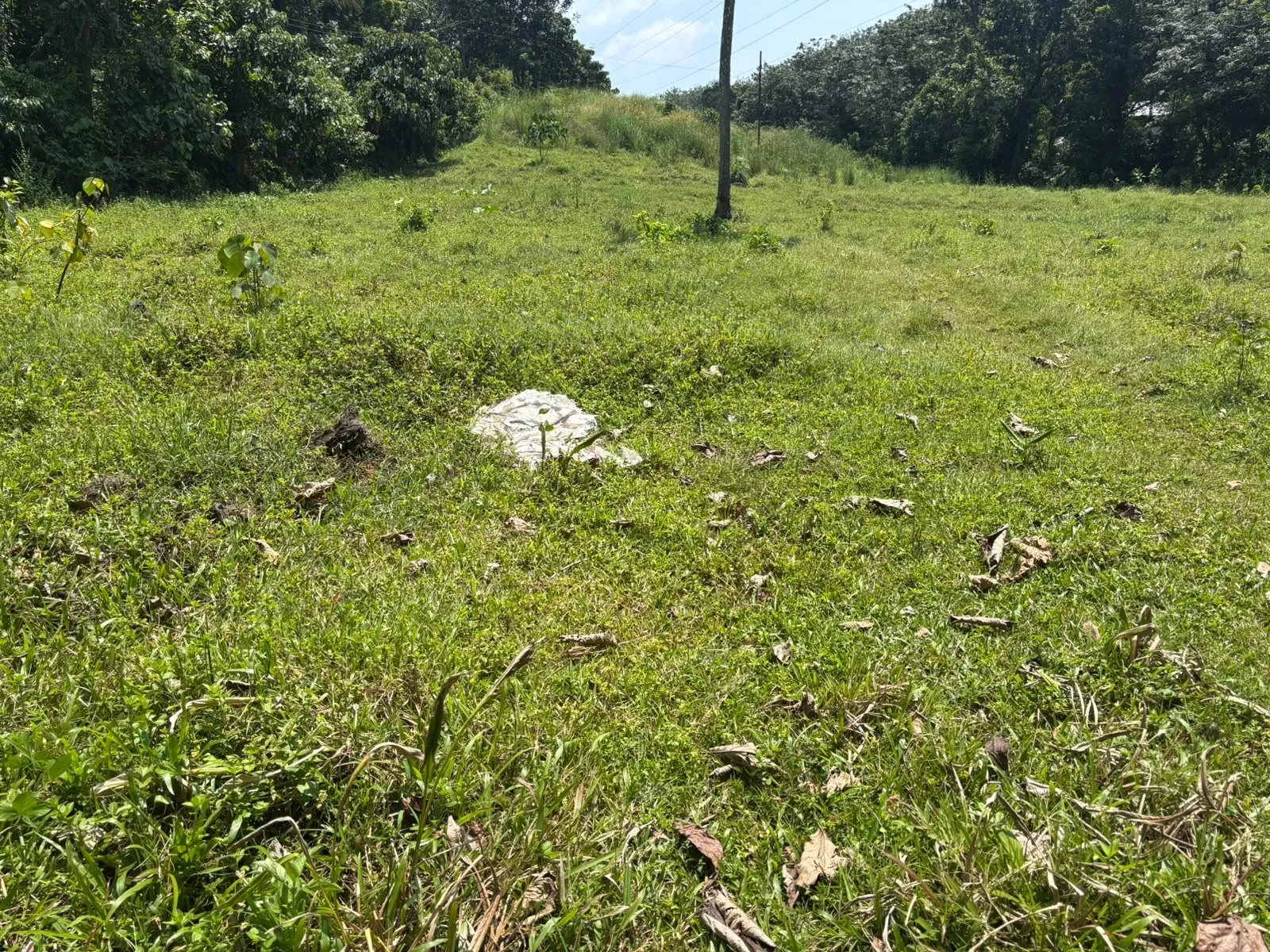 plot for sell 2