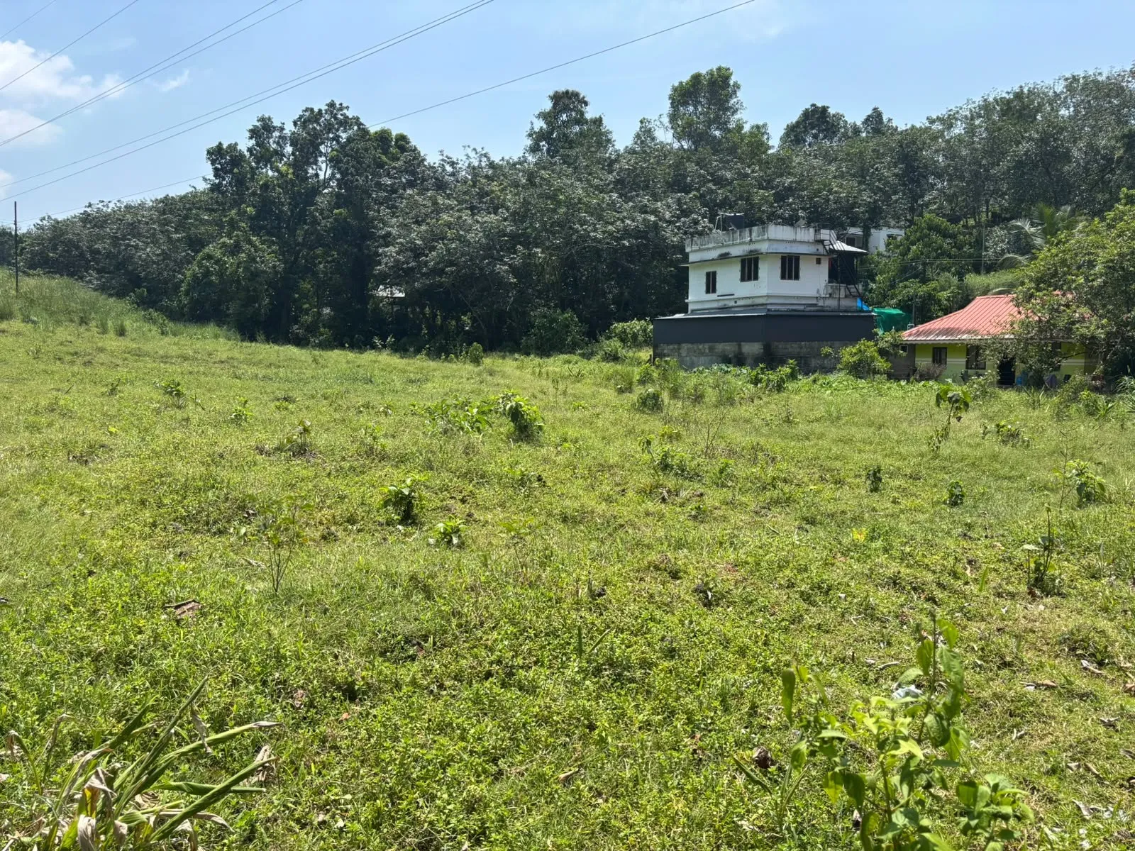 plot for sell 3