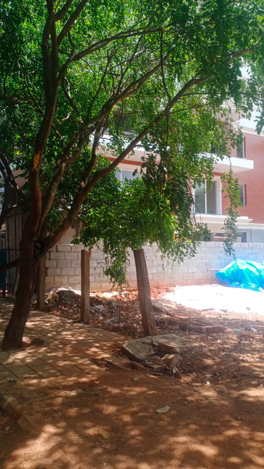 plot 3